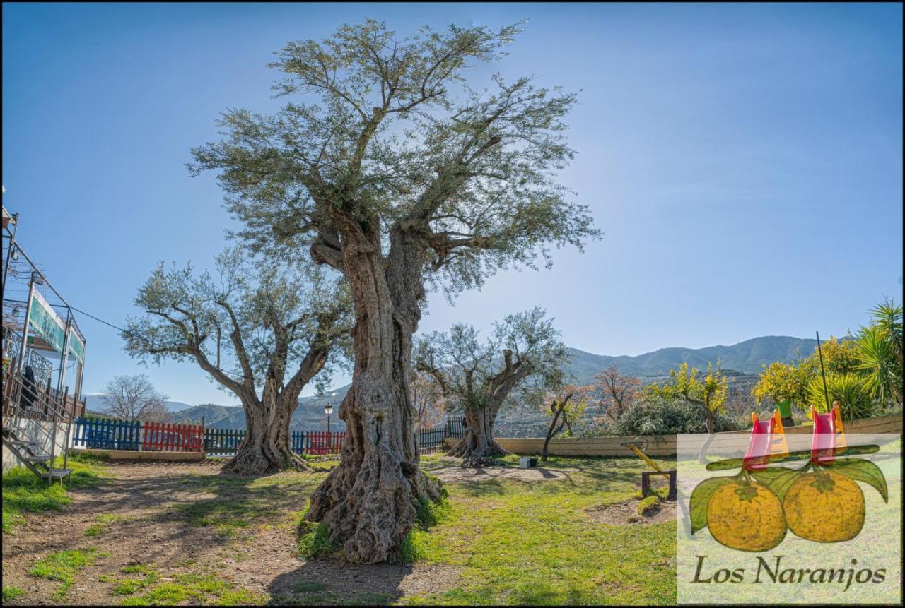 Hostal Y Apartamento Rural Los Naranjos Melegis Bagian luar foto