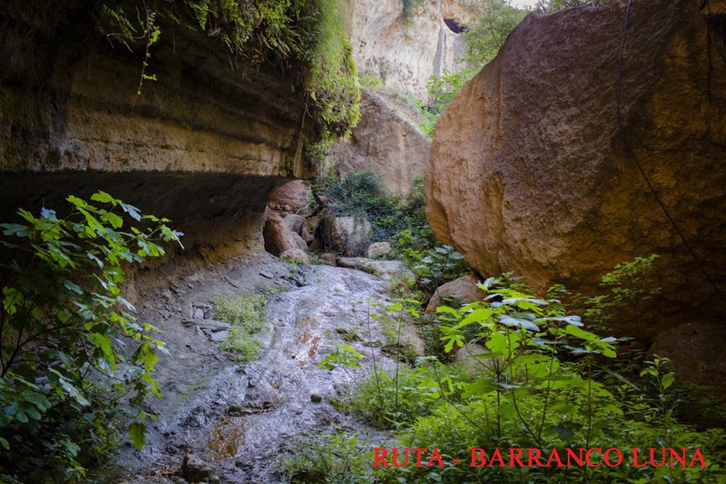 Hostal Y Apartamento Rural Los Naranjos Melegis Bagian luar foto