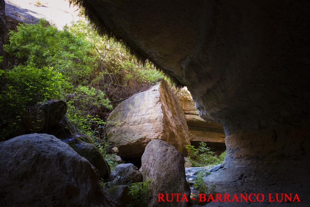 Hostal Y Apartamento Rural Los Naranjos Melegis Bagian luar foto