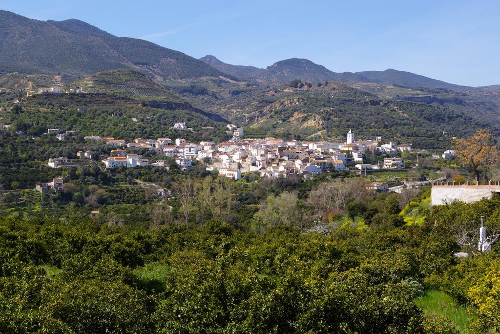 Hostal Y Apartamento Rural Los Naranjos Melegis Ruang foto